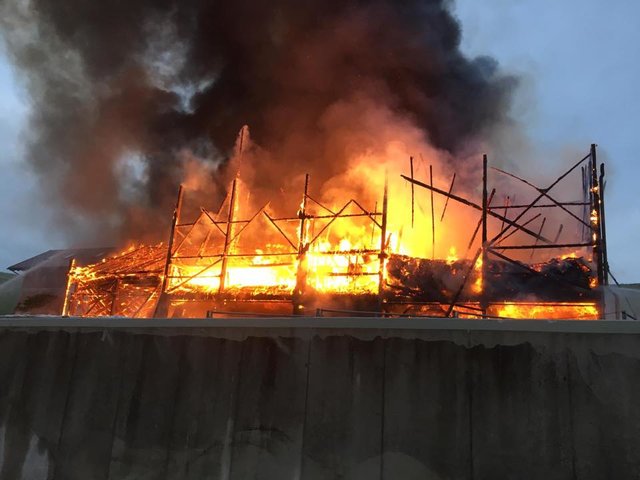 Brand in Grub: 130 Feuerwehrleute standen im Einsatz. | Foto: BFKDO Scheibbs