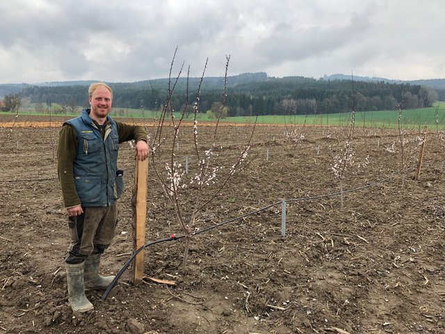 Stefan Höfferer, kurz nach der Bepflanzung seines Obst- und Beerengartens in Poppenhof | Foto: Lehner