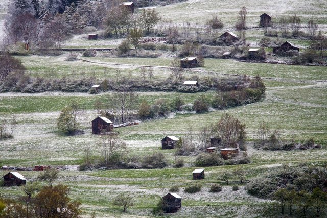 Vergangene Nacht gab es in manchen Tallagen in Trol örtlich Frost. Kältehotspot waren St. Jakob in Defereggen und Obergurgl mit -4,1 Grad