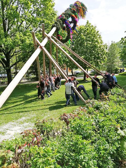 Die Landjugend stellt den Maibaum teils per Hand auf. | Foto: Foto: Landjugend