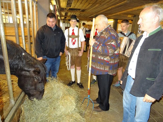 Auch eine Führung durch den Stall der Landwirtschaftlichen Schule in Bruck durfte nicht fehlen. Tom Porter liebt Pferde. | Foto: Leopold Kohr-Akademie