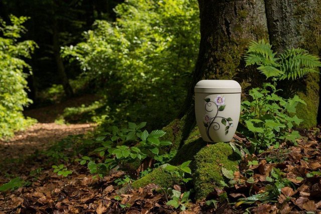 Biologisch abbaubare Urne | Foto: Bestattung Kärnten