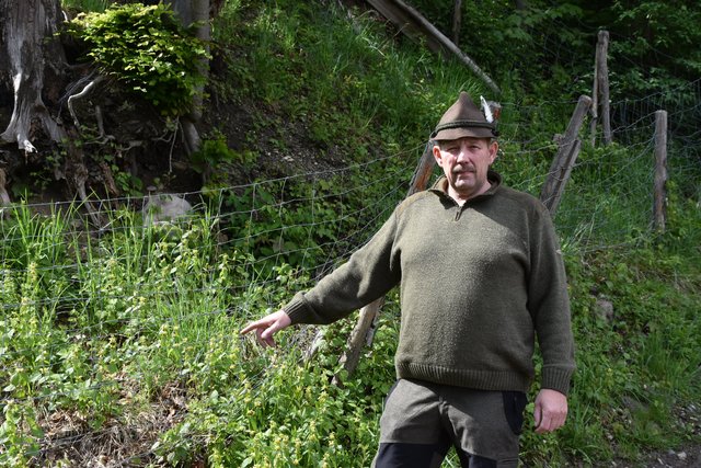 Jagdpächter Gerhard Dindl lebt in Angerberg und ist Tierpräparator von Beruf. Er fand die gewilderte Geiss.