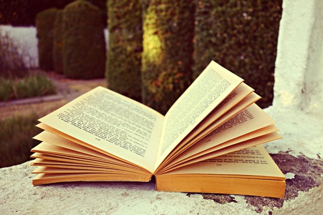 Die Bücher werden aufgeschlagen: beim Steirischen Vorlesetag am 25. Mai gibt es auch viele Events in Hartberg-Fürstenfeld. | Foto: KK