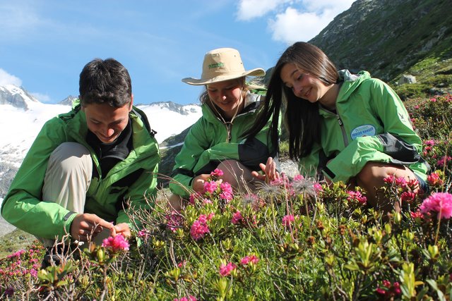 15 Jugendliche haben wieder die Chance, in den Beruf des Nationalpark Rangers hineinzuschnuppern