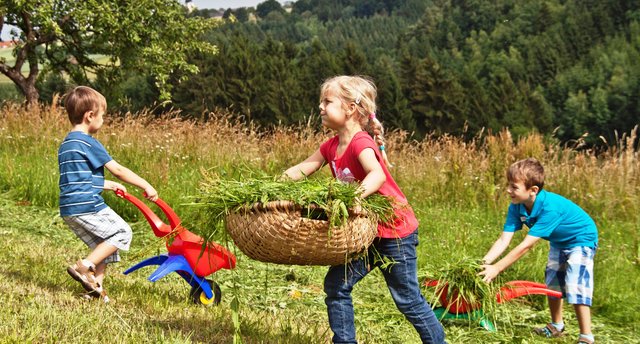 Die Kinder helfen fleißig beim heuen mit.
