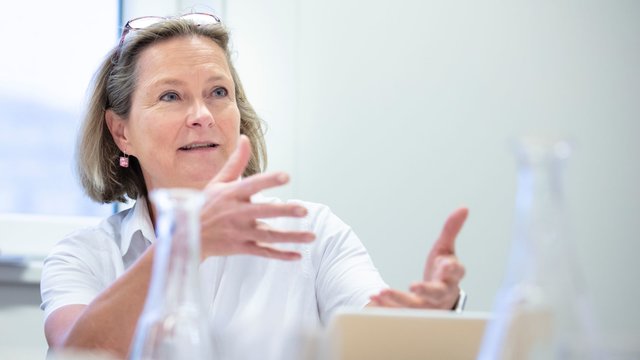 SPÖ-Spitzenkandidatin für die EU-Wahl: Bettina Vollath