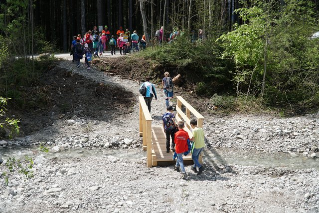 Der Weg durch den Wald lohnte sich. Es gab viel zu entdecken. | Foto: Reichel