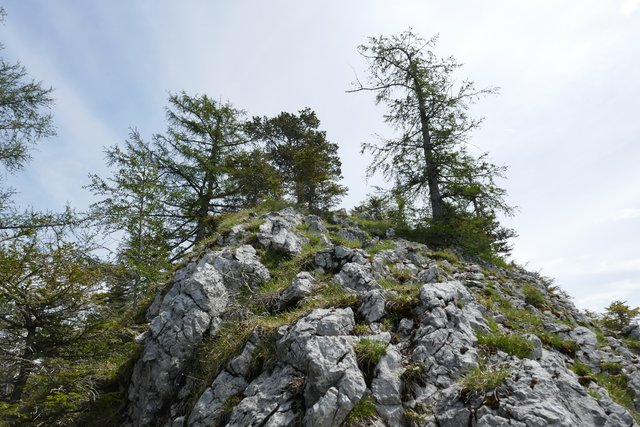 Der Anstieg zum Hauptgipfel ist kurz eine etwas ruppigere Angelegenheit.  | Foto: Thomas Neuhold