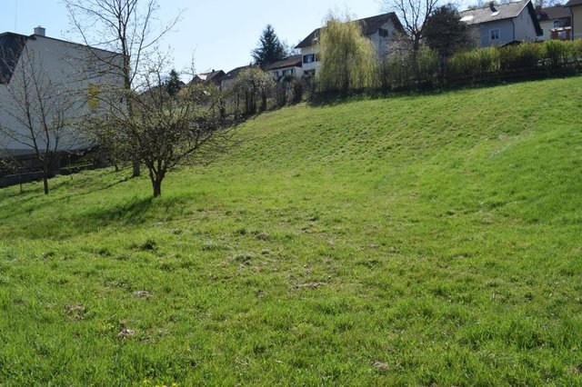 Ihr Baugrund in 3074 Michelbach.