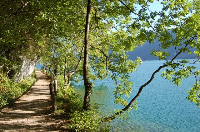 Flachgau: Ausgangspunkt der leichten Wanderung ist St. Gilgen. Der Weg führt über den Fürberg nach St. Wolfgang, die Gehzeit beträgt bis zu drei Stunden, Einkehrmöglichkeit gibt es direkt am Wolfgangsee in Fürberg. Rückfahrmöglichkeit mit dem Wolfgangsee-Schiff.  | Foto: WTG