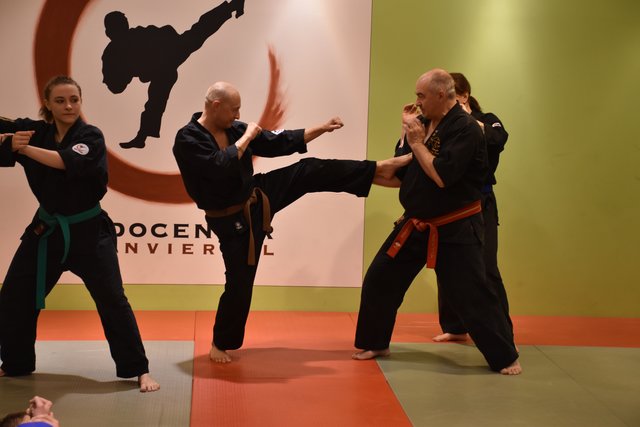 Gasttrainer Alain Sailly zeigte verschiedene Jiu Jitsu Techniken. | Foto: Goll