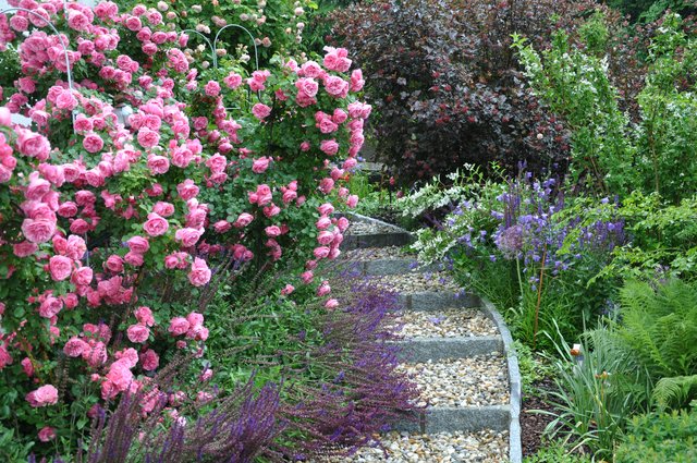 Der Garten von Josefine Lengauer in Niederneukirchen.