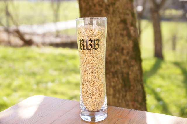 Das richtige Malz entscheidet den Geschmack und die Farbe des Bieres, welches dadurch auch rötlich bis schwarz sein kann: Pilsnermalz ergibt ein helles Bier, Farbmalz kann rötlich sein. Wer mit stark geröstetem Malz arbeitet bekommt ein Bier, so schwarz wie Guiness.