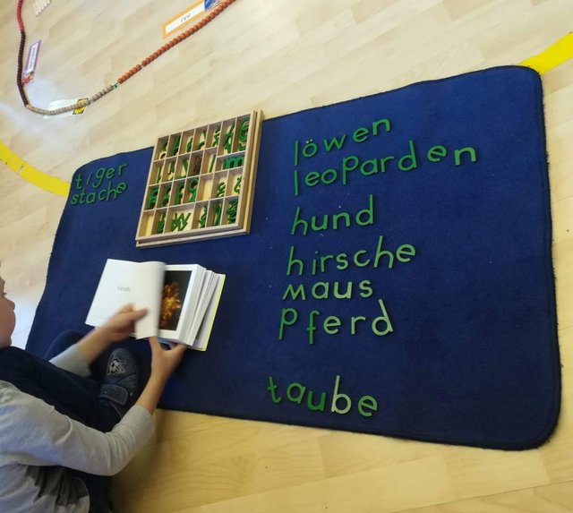 Infos im Montessorihaus.