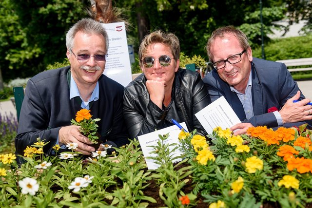Rudolf Gehrer zeigte sich im koalitionären Zusammenhang als Blumenkavalier, gegenüber der Oppositionellen Christine Witty eher als Störenfried. Mit Martina Weißenbch und Helmut Hofer-Gruber