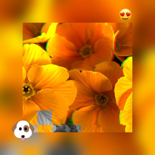 App-Tipp der Woche: InShot- Video-Editor &amp; Foto  | Foto: Screenshot