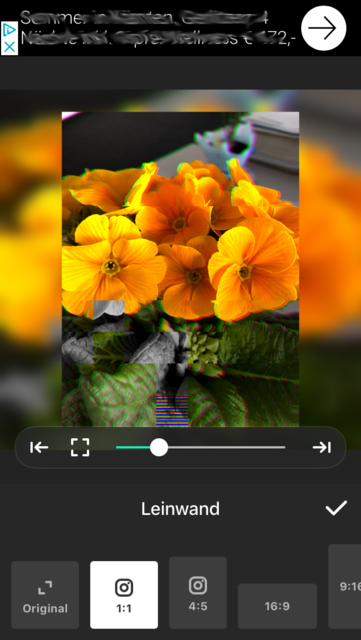 App-Tipp der Woche: InShot- Video-Editor &amp; Foto  | Foto: Screenshot