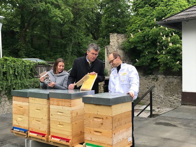 Nachhaltigkeitsmanagerin Kerstin Reißner, Bürgermeister Martin Schuster und Bio-Imker Georg Fink bei der Aufstellung der Bienenstöcke aus Naturholz (v. l. n. r.)