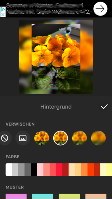 App-Tipp der Woche: InShot- Video-Editor &amp; Foto  | Foto: Screenshot