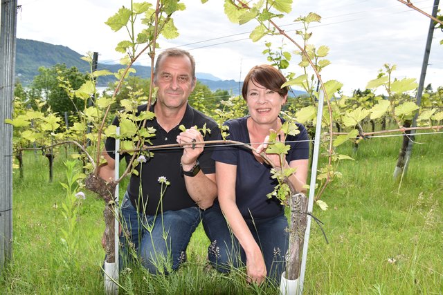 Darija und Robert Passegger produzieren in ihrer "Klagenfurter Weinwerkstatt" Qualitätsweine von der Seewiese und aus Ehrental