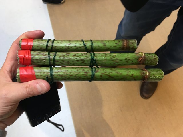 Maipfeiferl, Windspiele oder Klanghölzer wurden dabei hauptsächlich aus dem Staudenknöterich angefertigt.