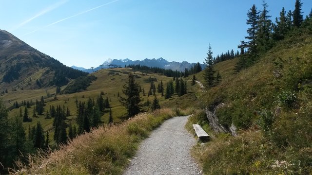 Ein perfekter Spazierweg