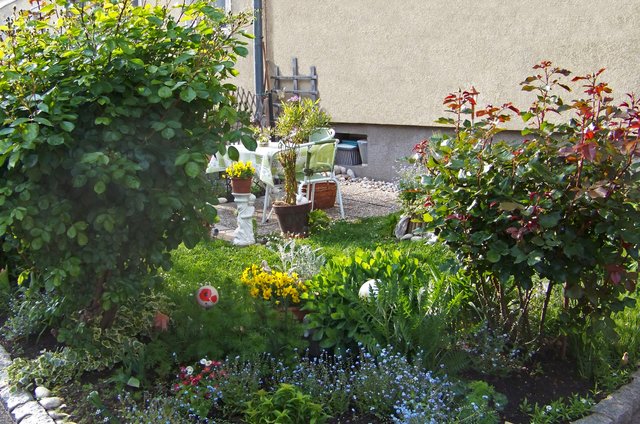 in der Wohnsiedlung Übergang vom Frühling zum Sommer Linz