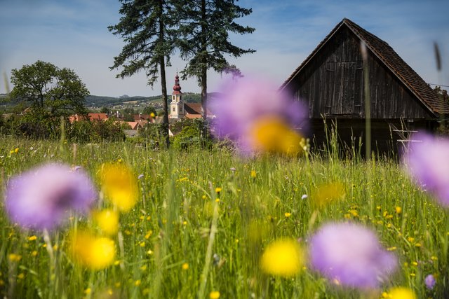 In der Region Fehring wird das Handwerk in allen Bereichen des Lebens großgeschrieben.