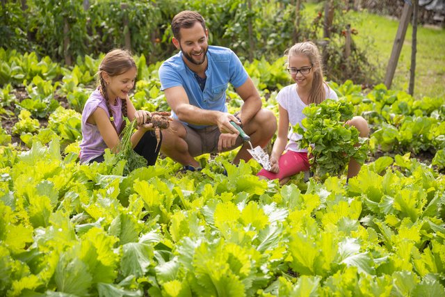 Gartengenuss im Vulkanland