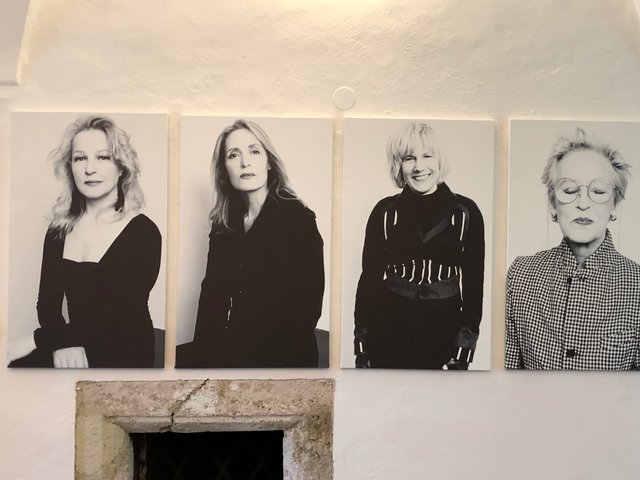 Eröffnung der Sommerausstellung der Galerie Walker im Schloss Ebenau: Porträts von Georg Schlosser der ausstellenden Künstlerinnen Gudrun Kampl, Christy Astuy, Mari Otberg und Burgis Paier | Foto: Lehner