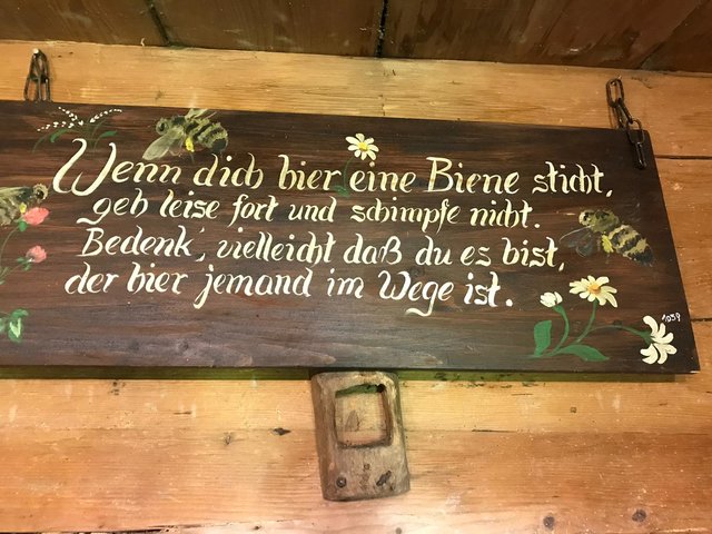 Foto: Johanna Wallinger