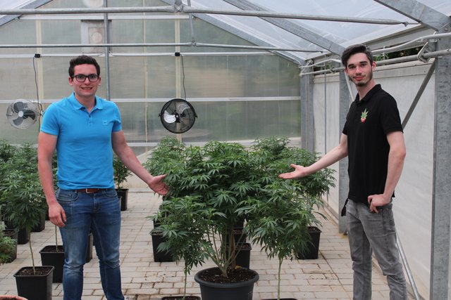Matthias Seifried und Florian Kainbacher(von links) vermarkten unter der Marke "The Dream" in Zukunft Hanfprodukte aus regionalem Anbau