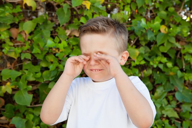 Nur nicht die juckenden Augen reiben! Besser sind Spülungen oder Kompressen mit kühlen Kräutertees. | Foto: Gelpi/Shutterstock.com