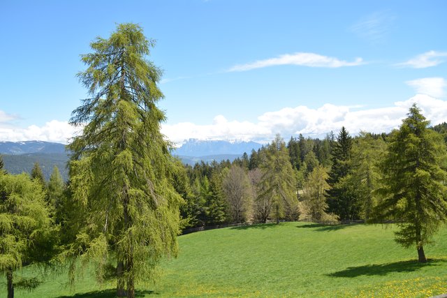 Der Tschögglberg lockt die Besucher mit saftigen grünen Wiesen und prächtigen Lerchen.