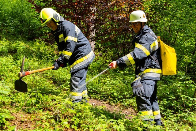 Die Bekämpfung des fiktiven Waldbrandes im Eichforst | Foto: BFKdo Hermagor / Jost / Kandolf