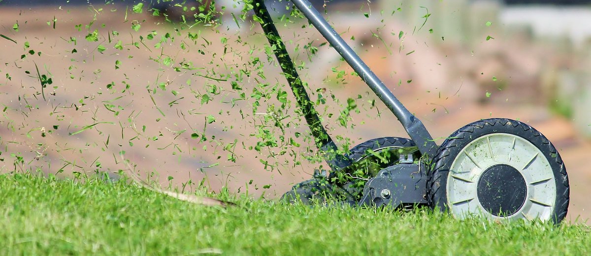 Saftig Gruner Rasen Durch Mulch Mahen Waidhofen Thaya