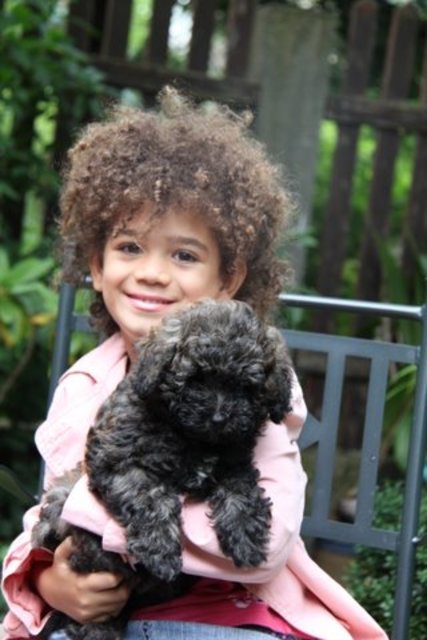 Die Kinder in den Hundeprofis-Workshops lieben das Spielen mit den Hunden und lernen die Hunde-Körpersprache. | Foto: TAT