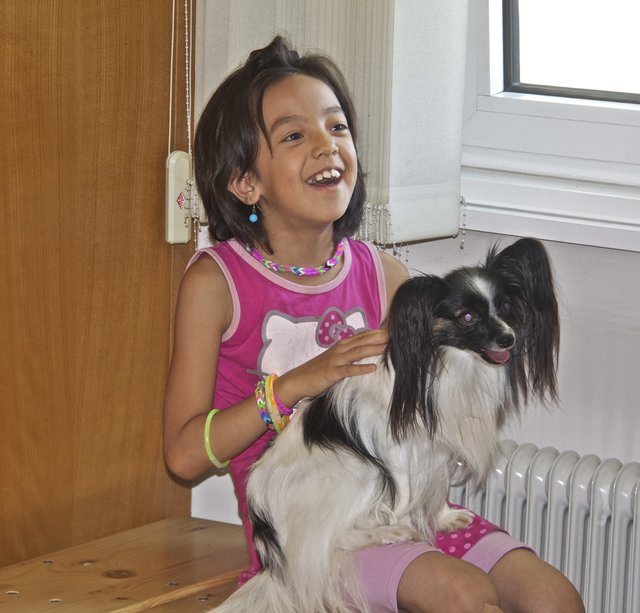 Die Kinder in den Hundeprofis-Workshops lieben das Spielen mit den Hunden und lernen die Hunde-Körpersprache. | Foto: TAT