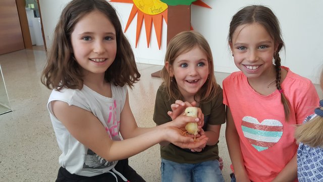 Putziges Schulprojekt: Bei den Volksschulkindern in Gries im Sellrain piepste es! | Foto: VS