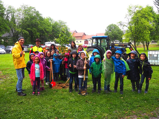 Die Schüler der 4a der Volksschule Sieghartskirchen unterstützen mit Klassenlehrerin Martha Hollergschwandtner den Bauhof Sieghartskirchen und Siegfried Tatschl tatkräftig bei der Pflanzung der Naschobsthecke im Gemeindepark Sieghartskirchen.