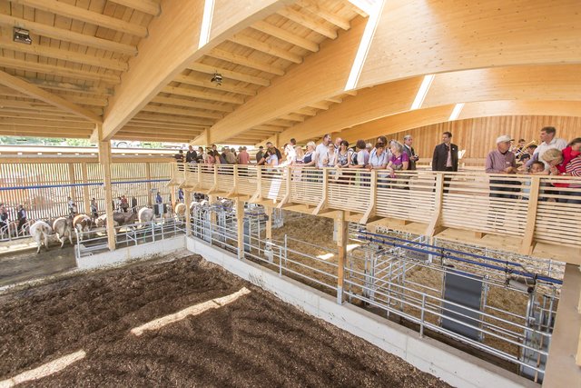 Der neue Milchhofstall konnte besichtigt werden.