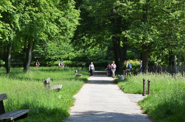 Oetk Klosterneuburg Rote Markierung Jagerwiese Hermannskogel
