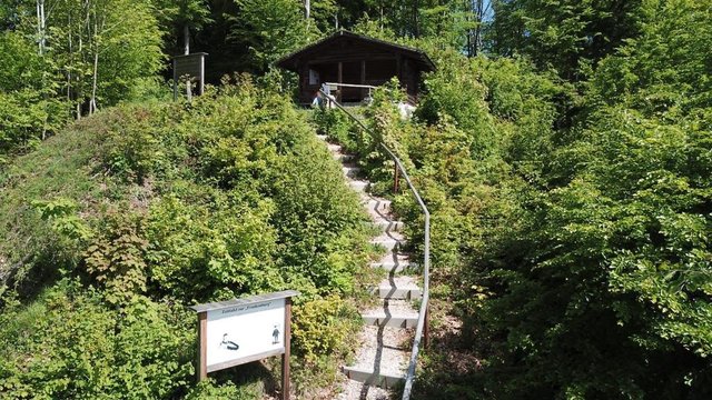 Die erneuerten Stufen zur Hofberghütte. | Foto: FF Badstuben