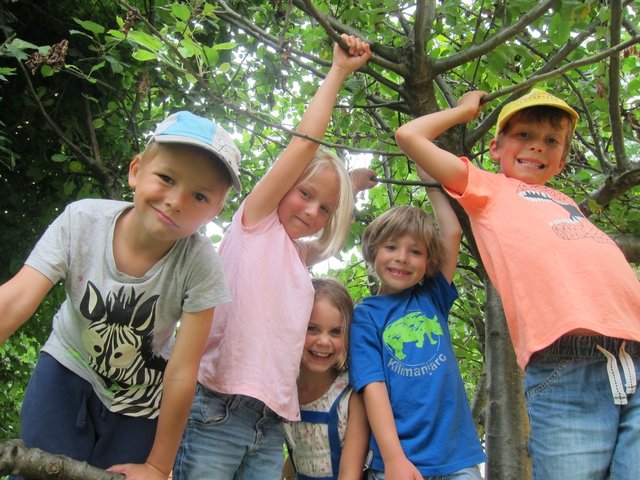 Mit Kindern die Natur entdecken und sich darin bewegen.  | Foto: Askö