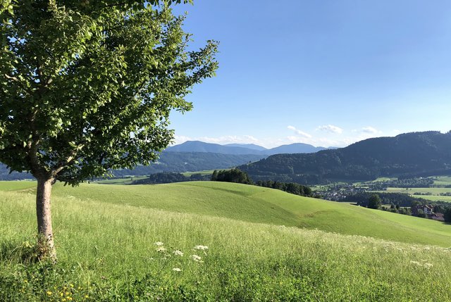 Nach der großen Trockenheit hat der ergiebige Regen im Mai der Natur besonders gut getan.