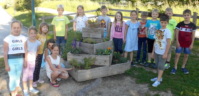 Die kleinen Bienenfreunde der Volksschule Ottnang bepflanzten die von den Schulwarten gefertigten Blumenkästen. | Foto: Sigrid Bichl