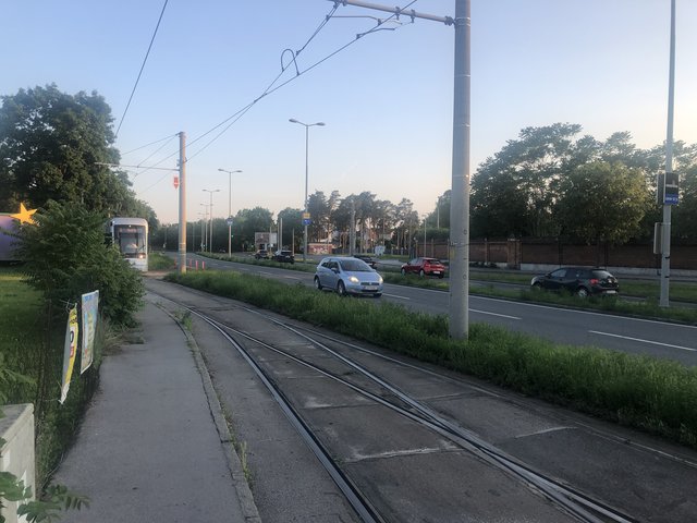 Noch müssen die Straßenbahnen in Puntigam auf den Gegenverkehr warten. Der zweigleisige Ausbau soll aber 2022 starten. | Foto: KK