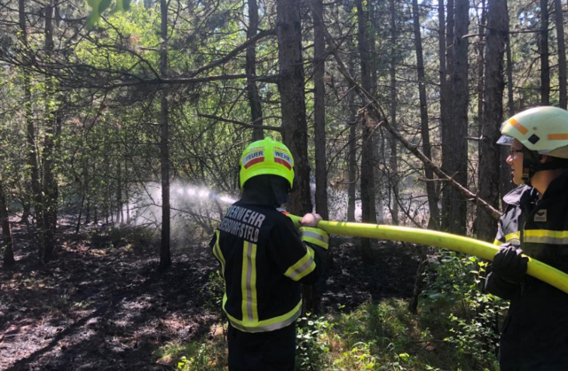 Die Feuerwehren hatten den Brand rasch unter Kontrolle.