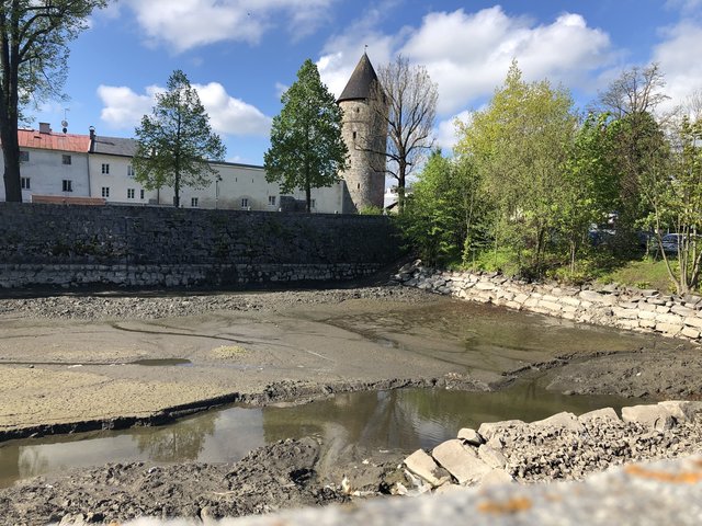 Sorgenkind Frauenteich